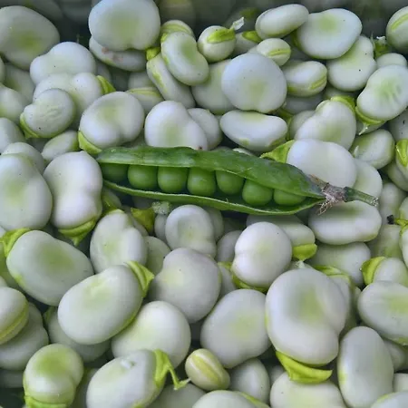 Kaserne Boutique 호텔 스헤르토헨보스