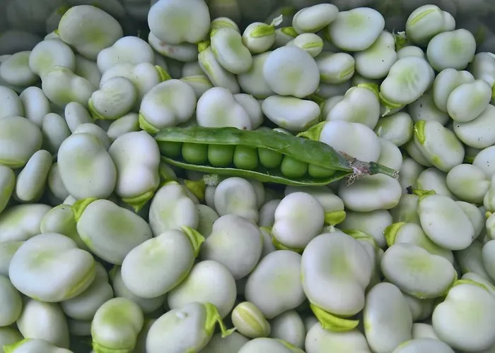 Kaserne Boutique מלון דן בוש