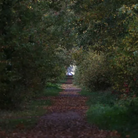 Kaserne Boutique فندق دين بوس